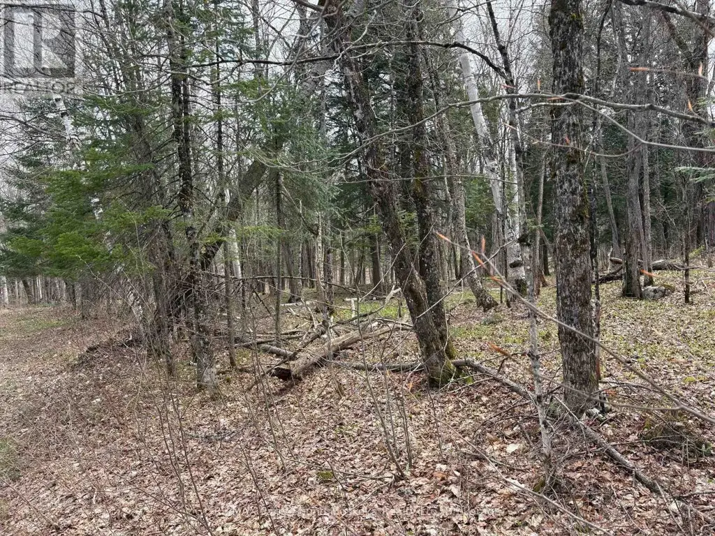 0 Ahmic Lake Road, Magnetawan (Spence)